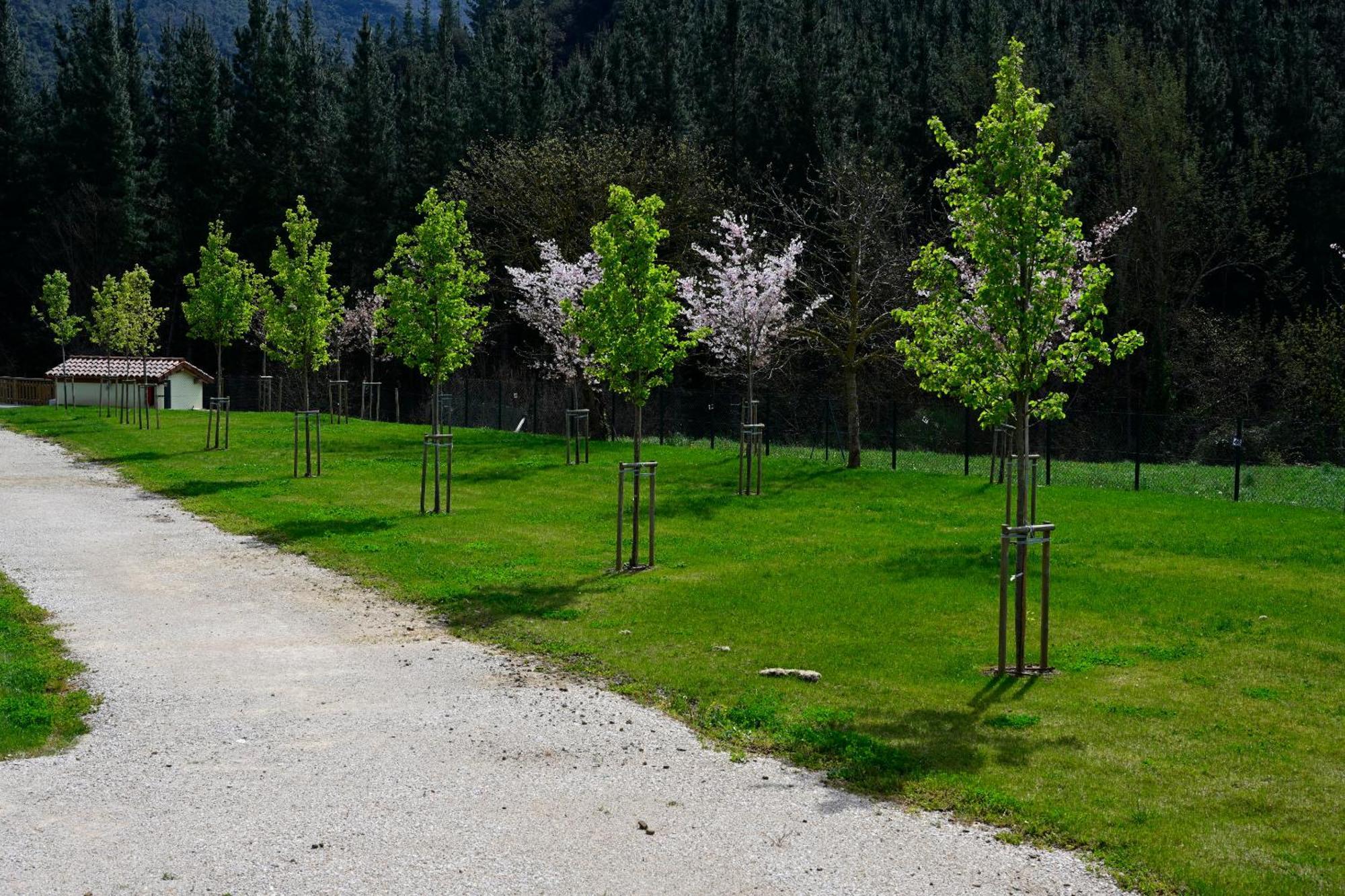Camping Liebana Cabezón de Liébana エクステリア 写真